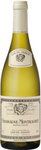 Louis Jadot Chassagne-Montrachet Blanc 2020 - VINI VINO